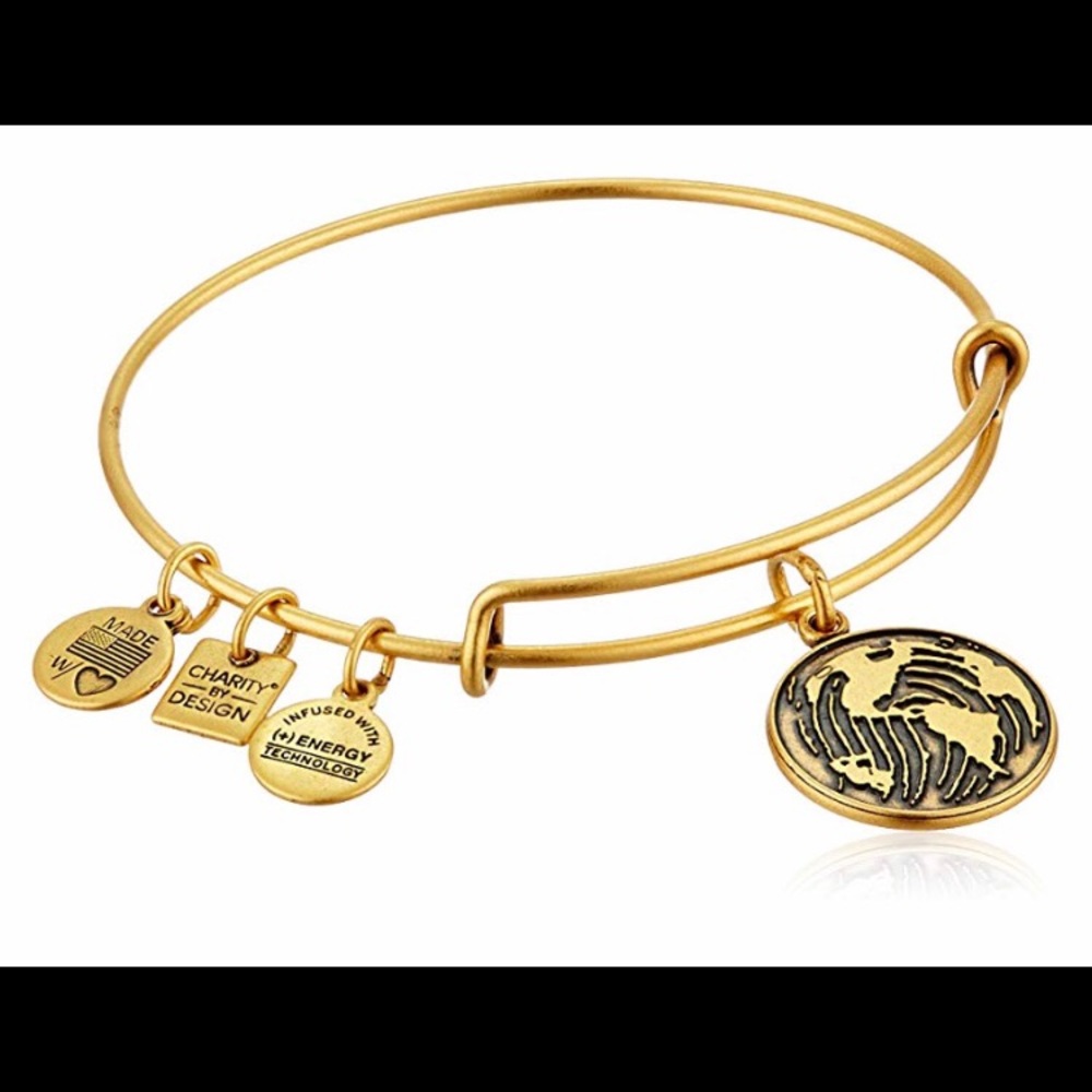 EUC Alex and Ani Make Your Mark Charm Bracelet